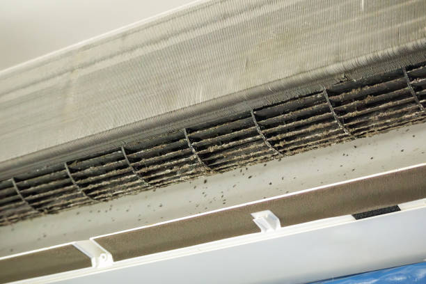 Best Air Duct Cleaning Near Me  in Twin Lakes, VA